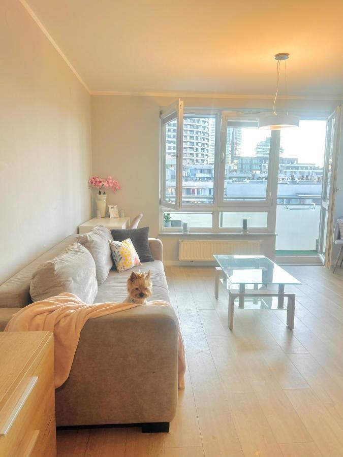 Downtownapartments Carrie Rzeszow Luaran gambar